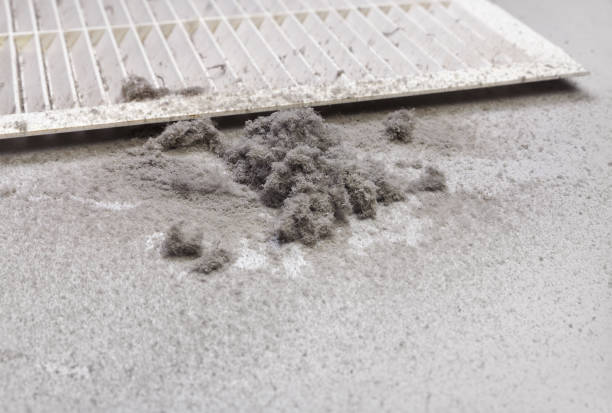 Best Affordable HVAC Duct Cleaning  in Dexter, OR