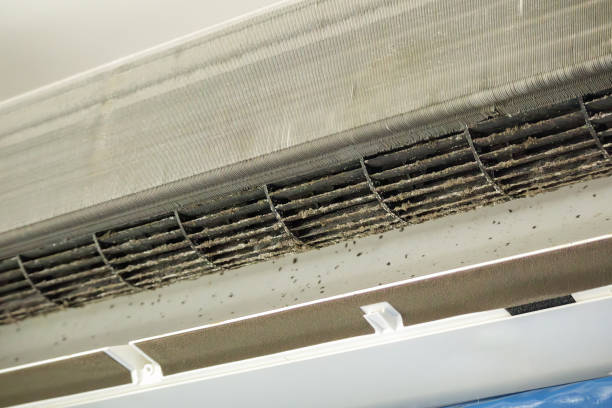 Air Duct Mold Removal in Dexter, OR